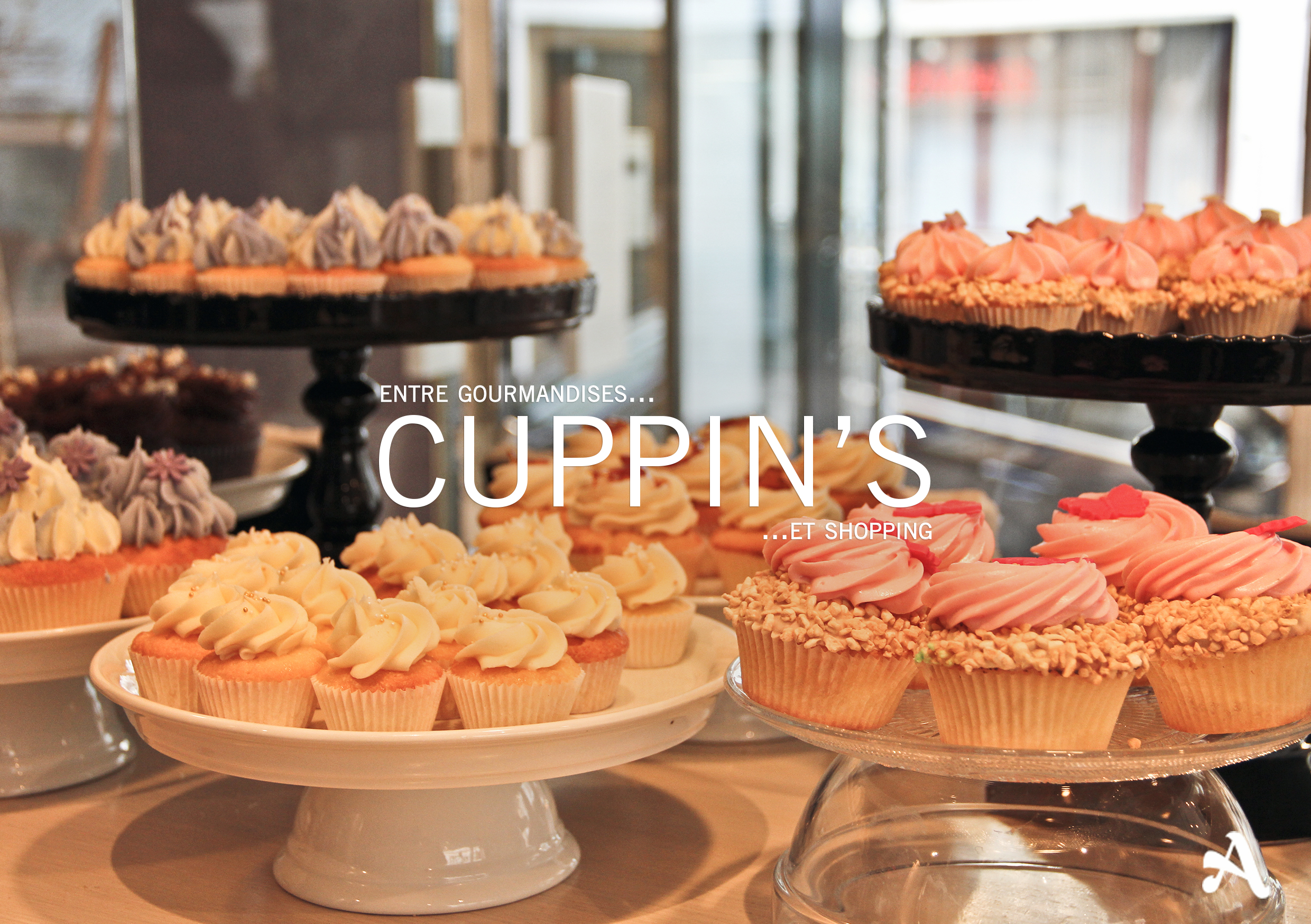 Caissettes pour cupcakes et muffins Noël - large choix
