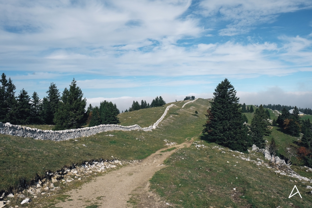 mont-tendre-randonn-e-du-mollendruz-au-marchairuz-awwway