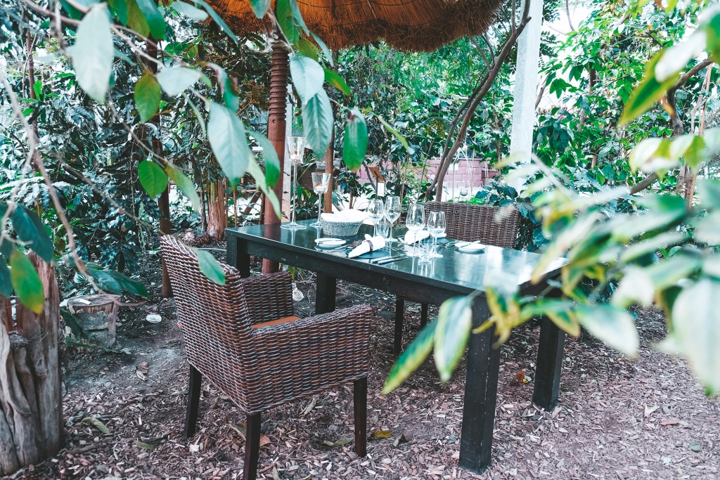 Une jolie table au milieu de la jungle de la Tropenhaus