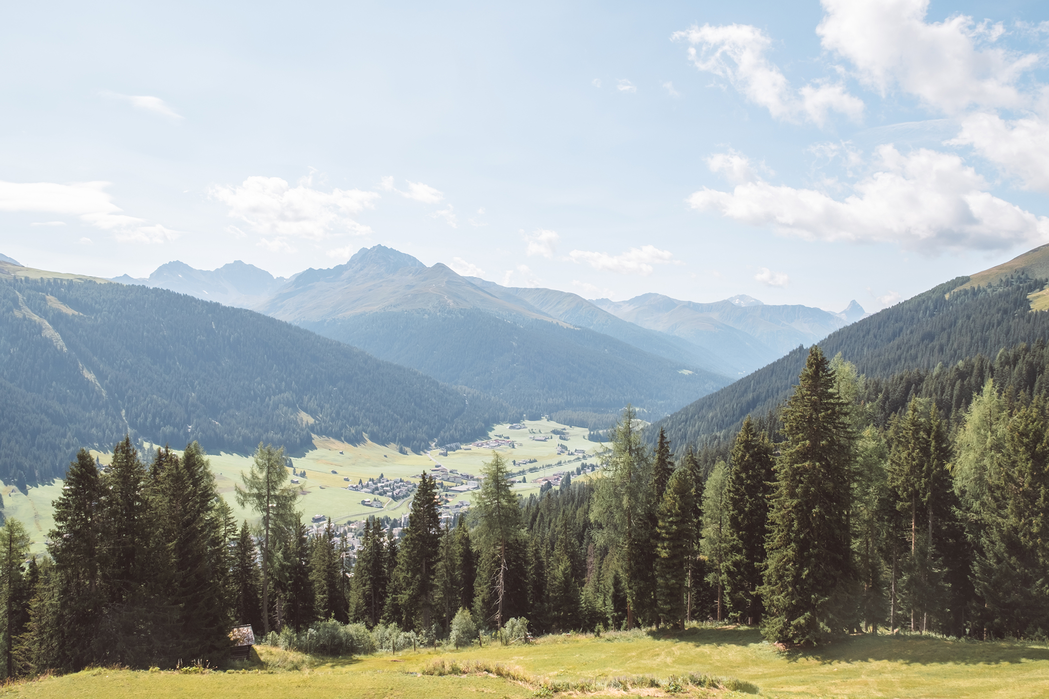 Le parc national suisse aux Grisons
